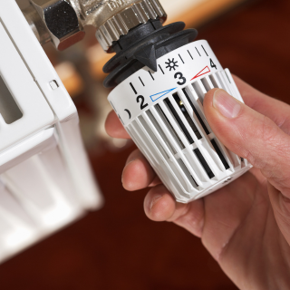 ©Ingo Bartussek - stock.adobe.com