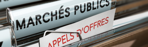 ©Olivier Le Moal stock.adobe.com