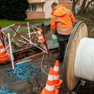 ©franck - stock.adobe.com